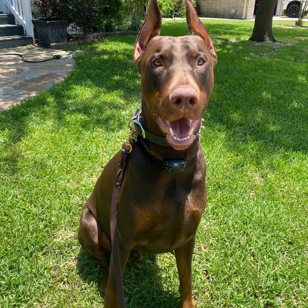 Heyyyyyy!! - Picture 9 of 16